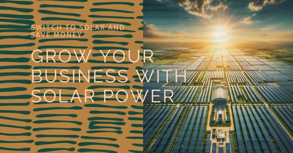 solar-plats-business